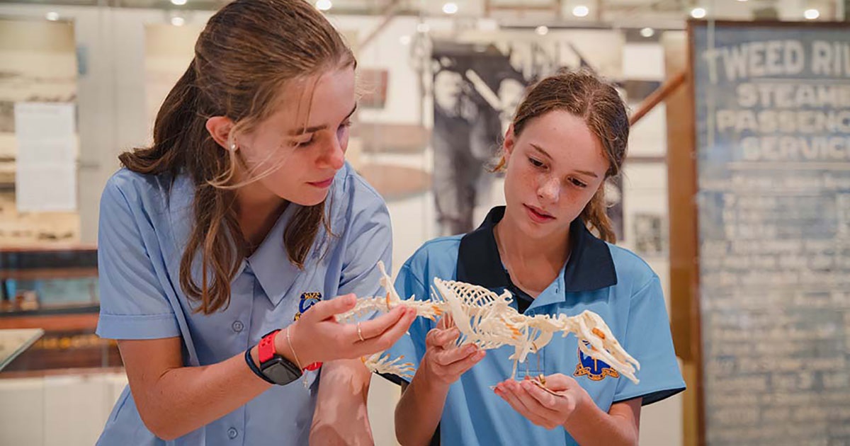 Students browsing an exhibition