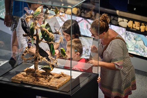 Family looking at display at Land Life Culture exhibition