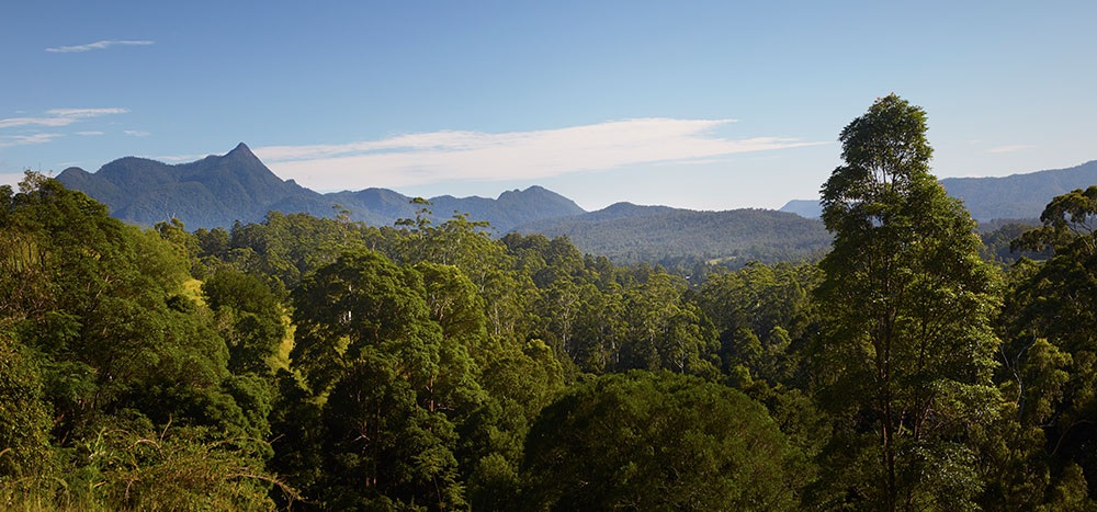 Wollumbin Mount Warning