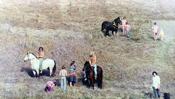 mandala-horses-sm.jpg