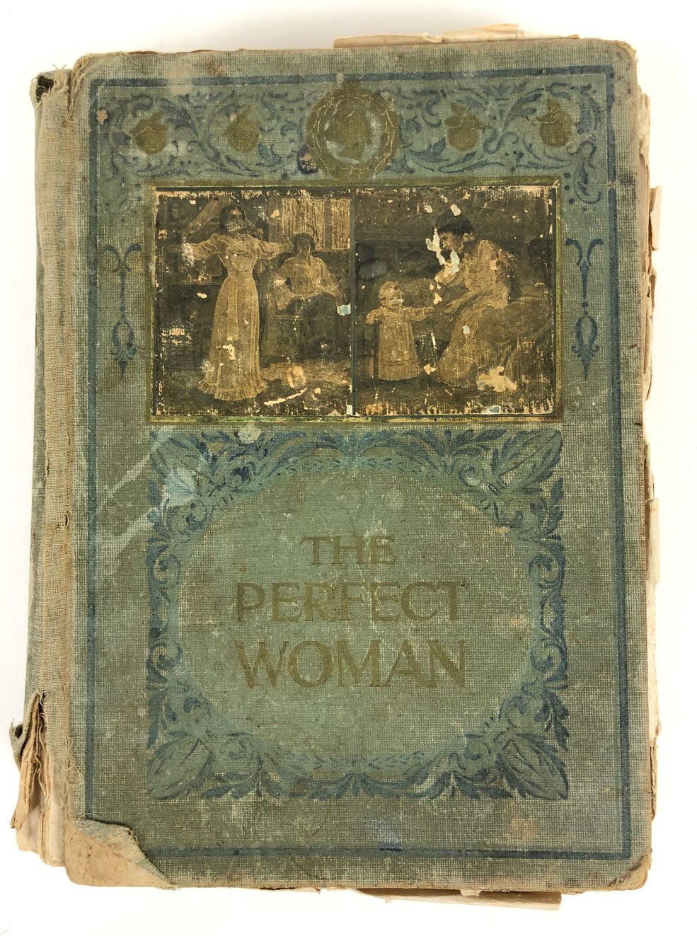 Book - The Perfect Woman