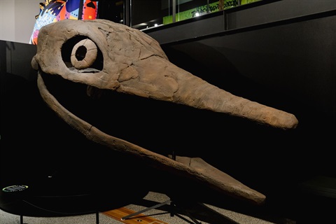 Tweed Regional Museum - Dinosaur 1 _Melting Wax_ _High_-1.jpg