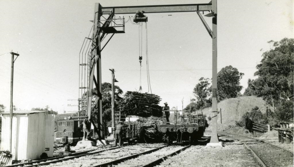 cane being loaded onto carts 